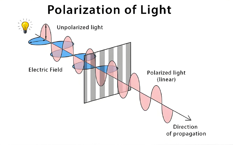 Cross-section diagram of polarizer film layers showing PVA and TAC layers with light polarization effect